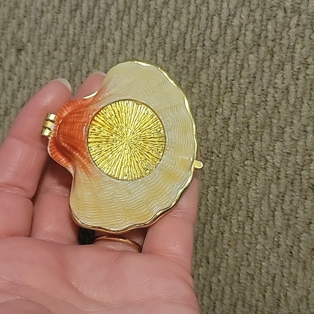 Shell 🐚 boxes - Picture 3 of 3